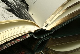 Статистика Дзен Жизни книжный переплёт