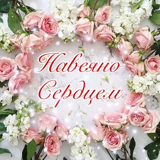 Дзен Навеяно сердцем статистика