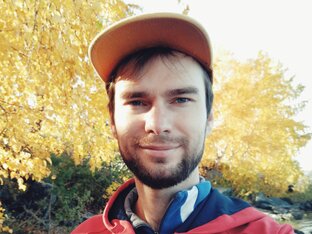 Дзен Ярослав Халдин статистика