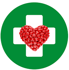 Дзен Я - Зожник статистика