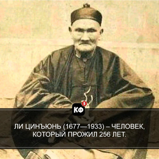 Дзен медицина официальная и не очень статистика