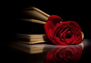Дзен Полина Грёза -  книги о любви статистика