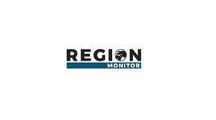 Дзен RegionMonitor статистика