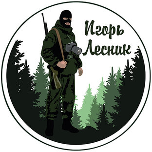 Статистика Дзен Игорь Лесник