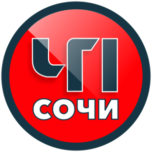 Статистика Дзен ЧП Сочи