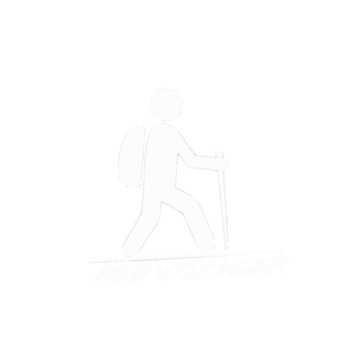 Статистика Дзен Red Voyager