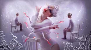 Дзен Силы мейкапа статистика