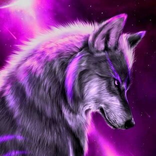 Дзен Волчок Дзень-Дзинь.  статистика