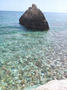 Дзен Море статистика