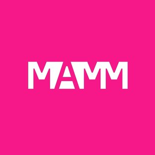 Статистика Дзен Мультимедиа Арт Музей, Москва
