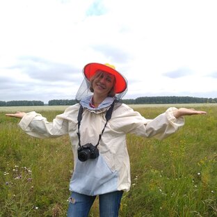 Дзен Светлана Новикова статистика