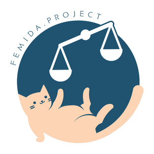 Статистика яндекс дзен femida.project