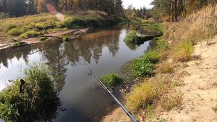 Виталий Головин - Рыболовный канал