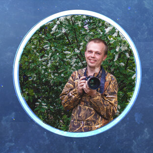 Статистика Дзен Andrei Kostroff