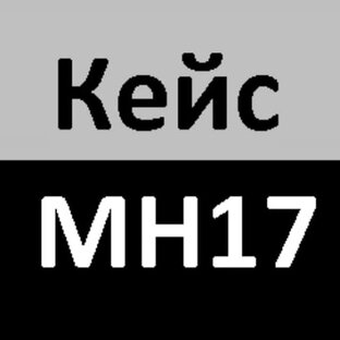 Статистика яндекс дзен Кейс MH17
