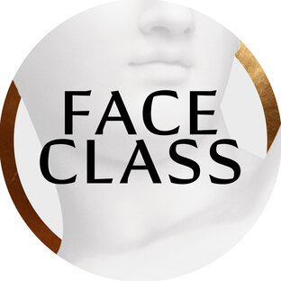 Статистика Дзен FACE CLASS