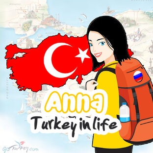 Дзен Турция Turkey_in_life статистика