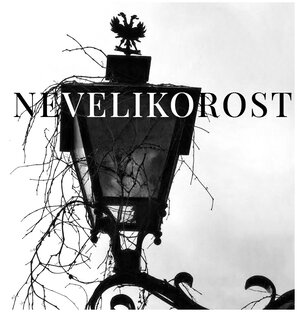 Дзен Демография от Nevelikorostа статистика