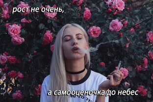 Дзен Денис Витанов статистика