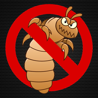 Дзен Блоха статистика