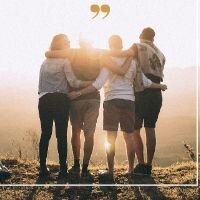 Дзен Верные Друзья статистика