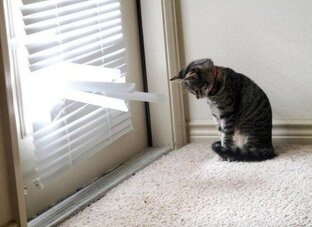 Дзен О том и об этом.. статистика