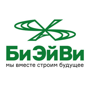 Статистика Дзен ООО "Компания Би Эй Ви"