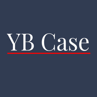 Статистика Дзен YB Case