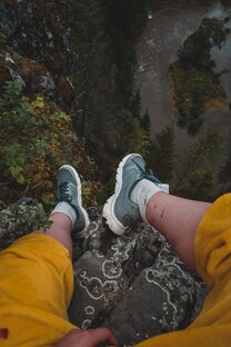 Дзен Кристина Кунц статистика