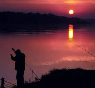 Дзен Рыбалка со звездами статистика