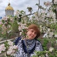 Дзен Светлана Тимашова статистика