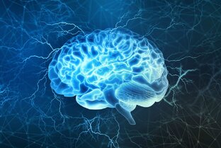 Дзен 🧠Психология Наизнанку🧠 статистика