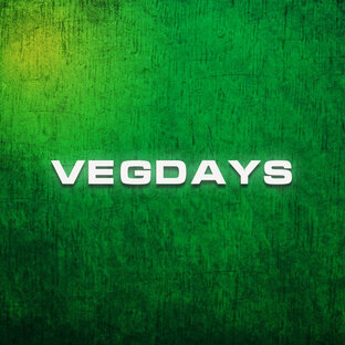 Дзен vegdays статистика