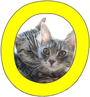 Статистика Дзен MEOWмяу