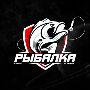 Статистика Дзен Рыбалка55Регион