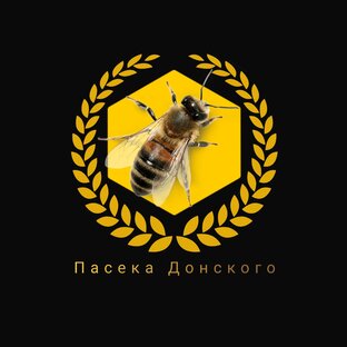Статистика Дзен Пасека Донского
