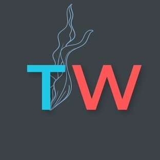 Статистика Дзен  THALASSO WELL