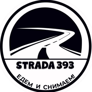 Strada 393