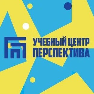 Статистика Дзен У.Ц. "Перспектива" Школа и детский сад