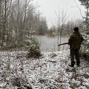Дзен MOTO_derevnya35 статистика