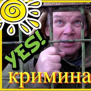 Статистика Дзен Баженит из деревни на пенсию в город