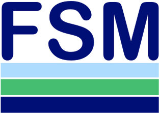 Статистика Дзен FS Mackenzie