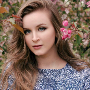 Дзен Птичка Энн статистика