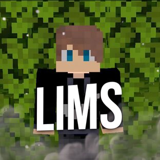 Дзен Lims - майнкрафт статистика