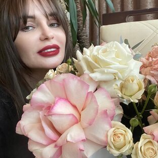 Дзен Мои видео статистика