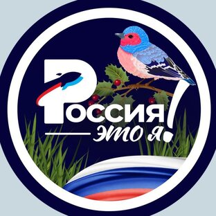 Статистика Дзен Россия — это я