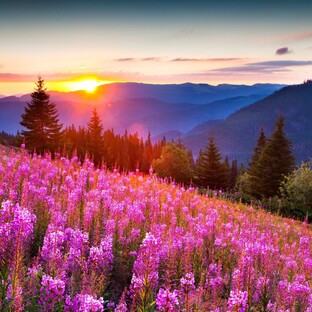 Дзен Александр Селезнёв статистика