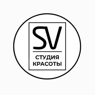 Статистика Дзен SV студия красоты