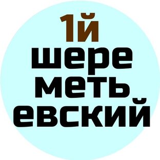 Дзен Первый  Шереметьевский  статистика