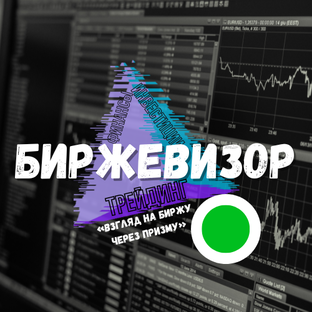 Дзен БИРЖЕВИЗОР статистика